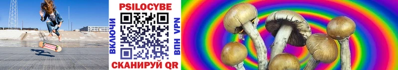 Галлюциногенные грибы мицелий  блэк спрут tor  Фёдоровский 